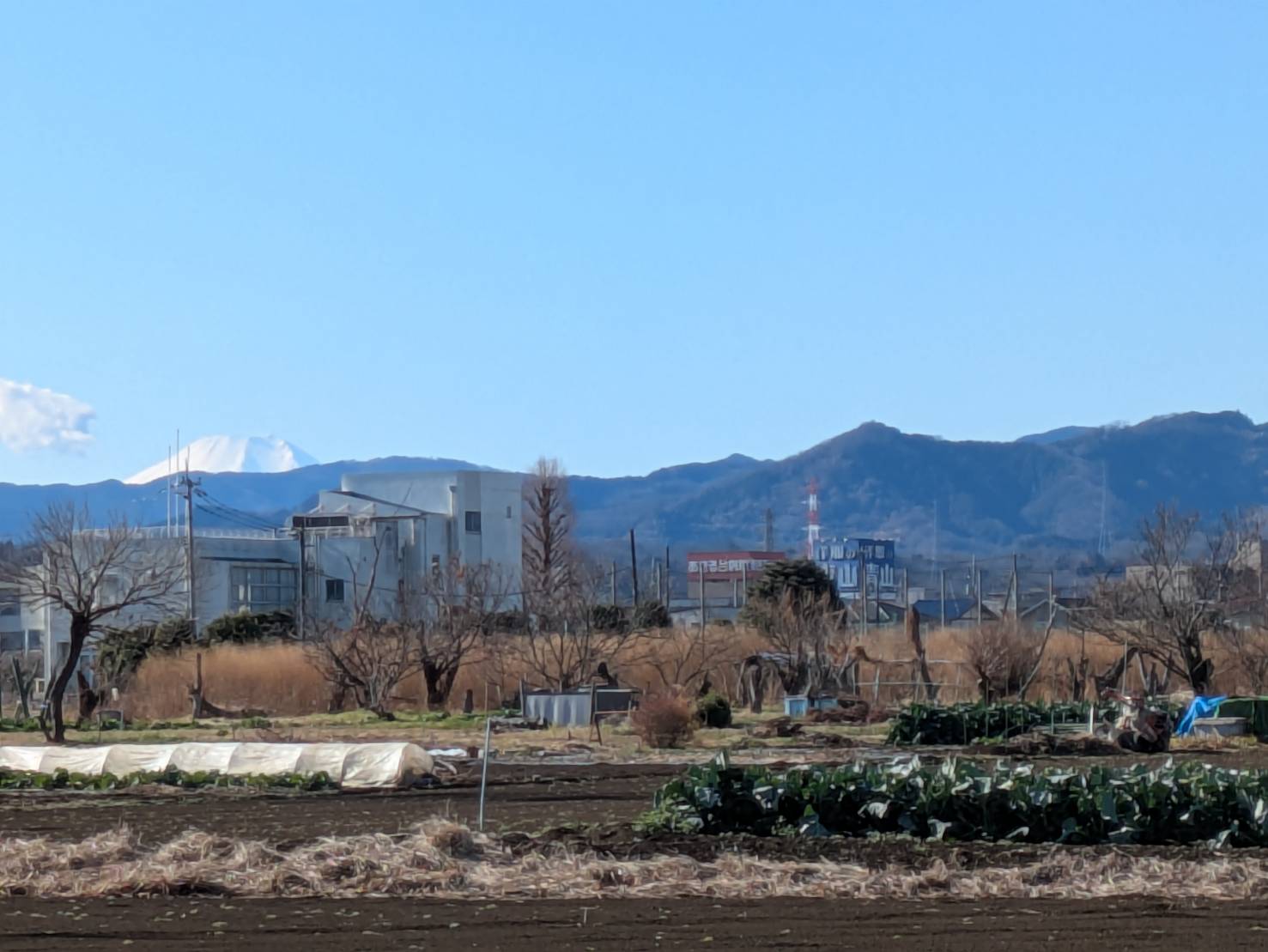 秋多運送 地域の風景